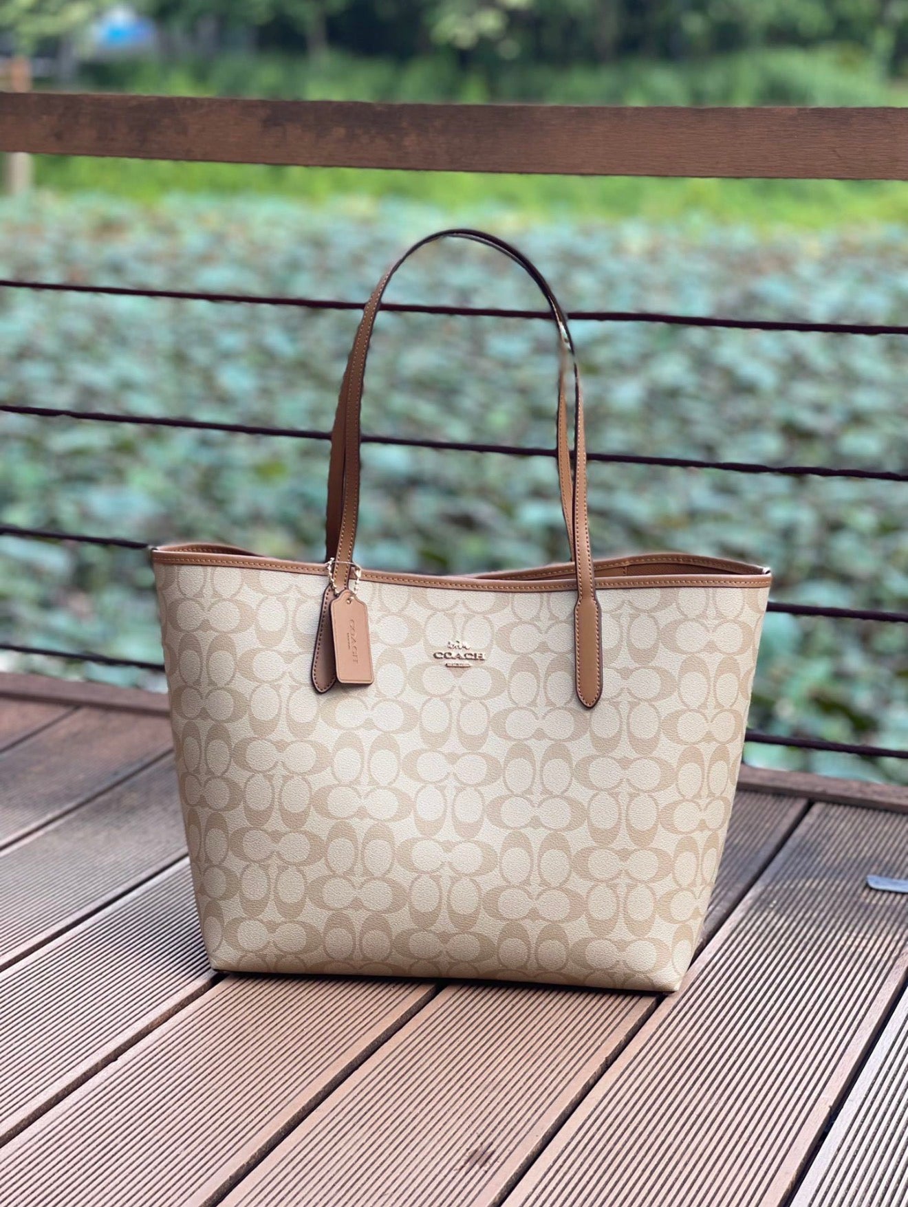 Beige Bag