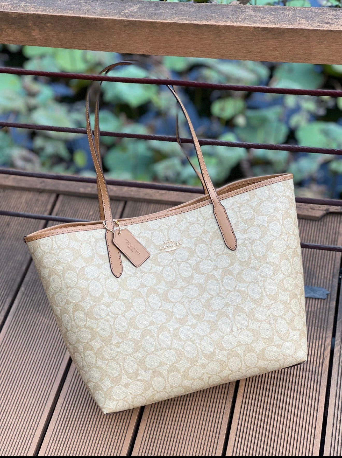 Beige Bag
