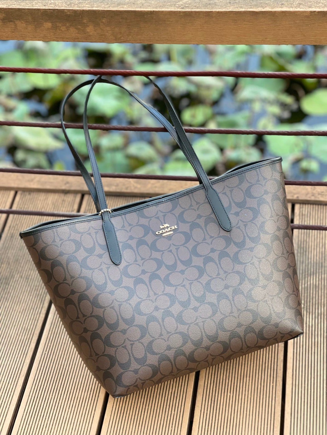 Brown Bag